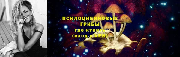дурь Богородск