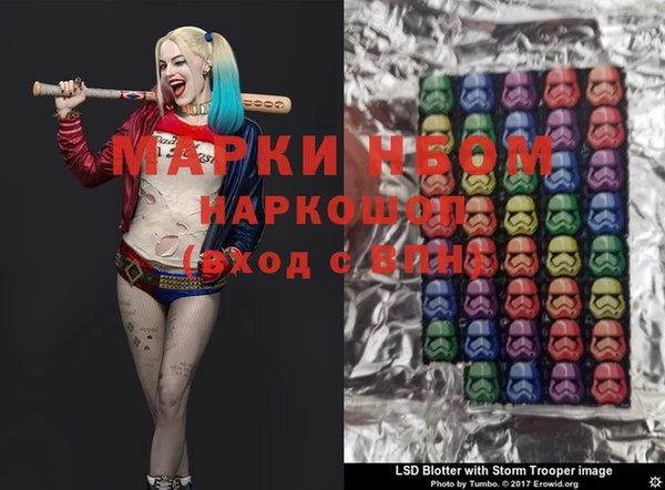 ПСИЛОЦИБИНОВЫЕ ГРИБЫ Бородино