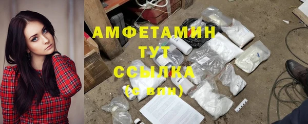 ПСИЛОЦИБИНОВЫЕ ГРИБЫ Бородино