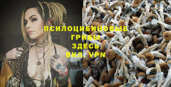 каннабис Богданович