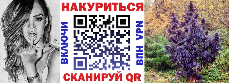 где продают   Королёв  Каннабис Bruce Banner 